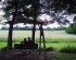 Relaxing in the swing overlooking walking trail